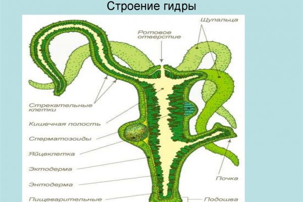 Vk8 at кракен